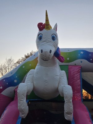 afbeelding van Slide Combo Unicorn