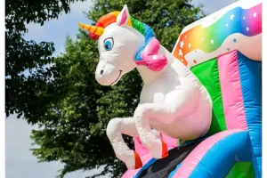 afbeelding van Slide Combo Unicorn